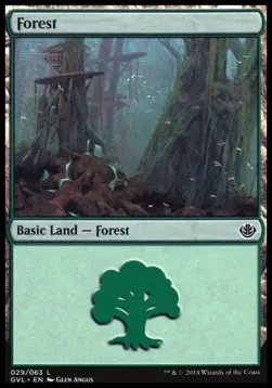 Forest