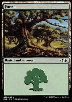 Forest