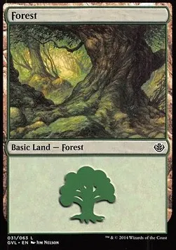 Forest