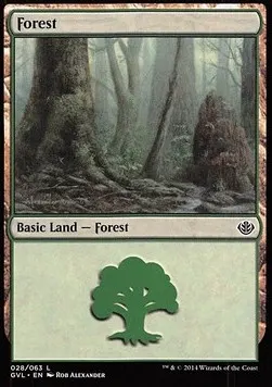 Forest