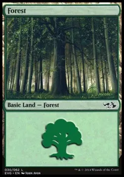 Forest