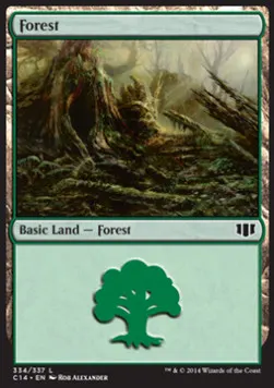Forest