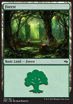Forest