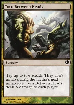 Torn Between Heads