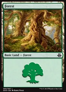 Forest