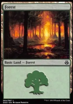 Forest