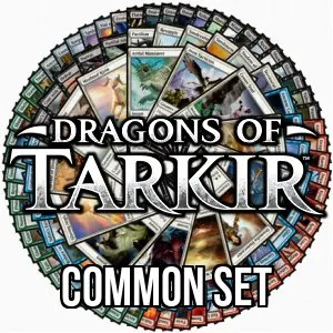 Dragons of Tarkir Common Set