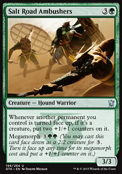 Salt Road Ambushers