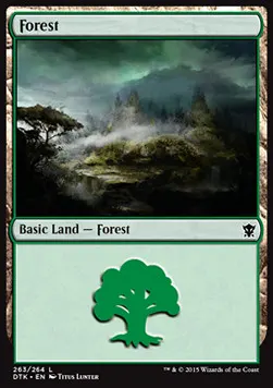 Forest