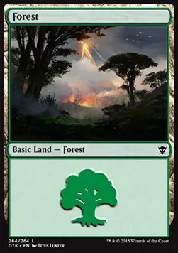 Forest