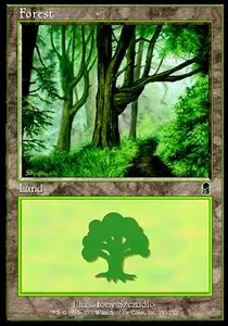 Forest