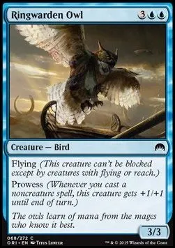 Ringwarden Owl