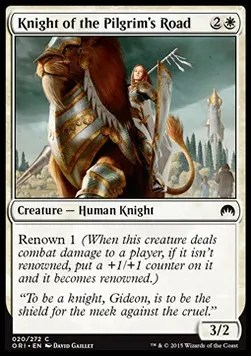 Knight of the Pilgrim's Road