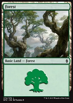 Forest