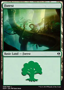 Forest
