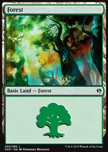 Forest