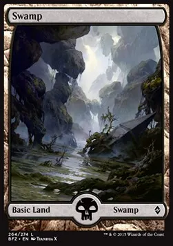 Swamp