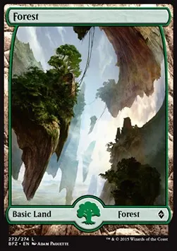 Forest
