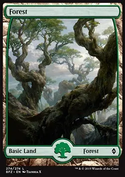Forest