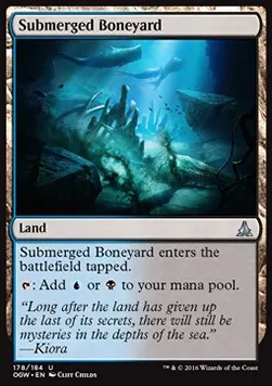 Submerged Boneyard