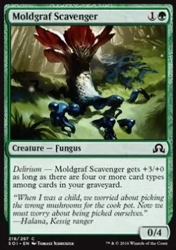 Moldgraf Scavenger