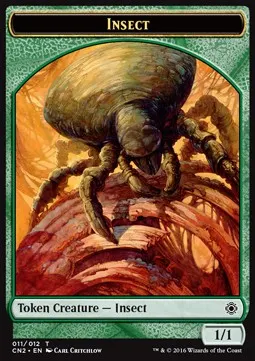 Insect