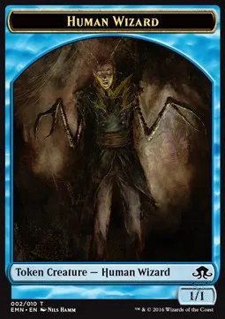 Human Wizard