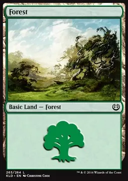 Forest