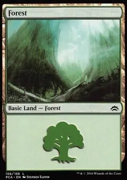 Forest