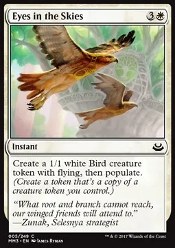 Eyes in the Skies