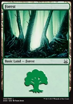 Forest