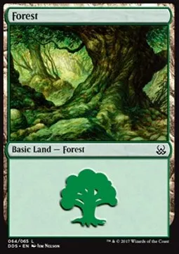 Forest