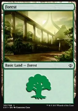 Forest