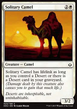 Solitary Camel
