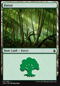 Forest
