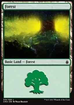 Forest