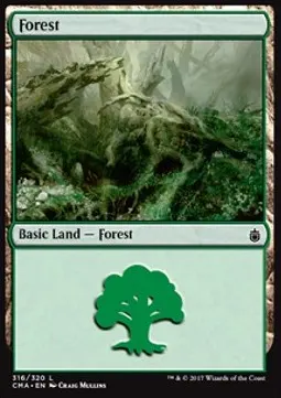 Forest