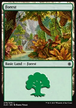 Forest