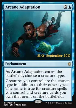 Arcane Adaptation
