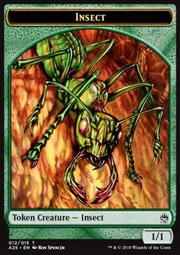 Insect