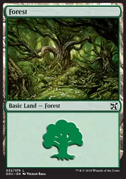 Forest