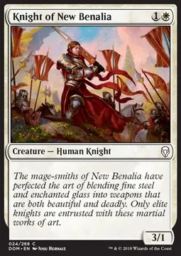 Knight of New Benalia