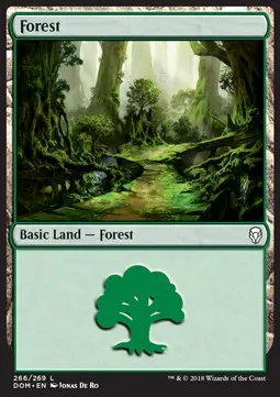 Forest