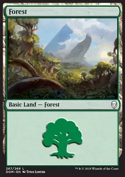 Forest