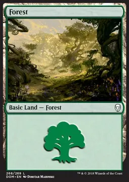 Forest