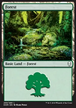 Forest