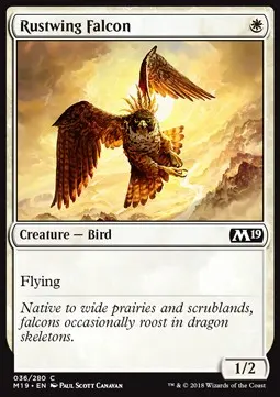 Rustwing Falcon