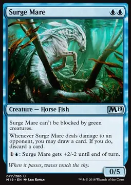 Surge Mare