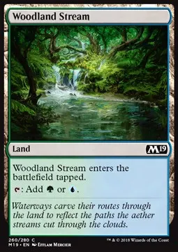 Woodland Stream