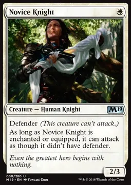 Novice Knight